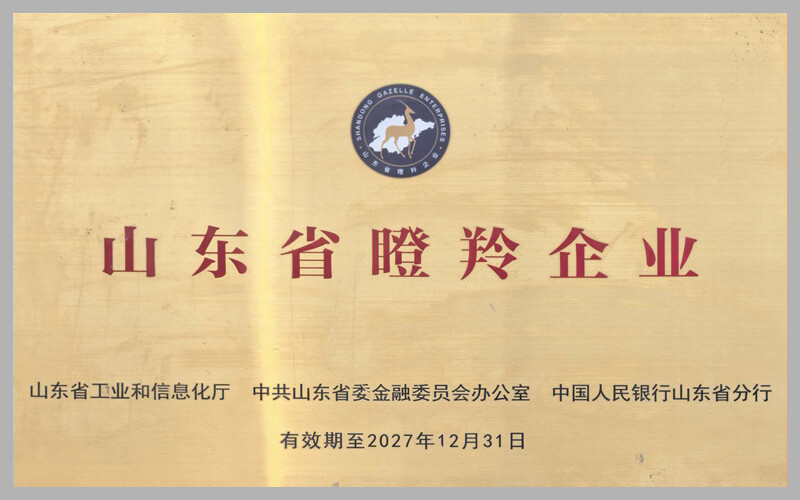 荣誉资质